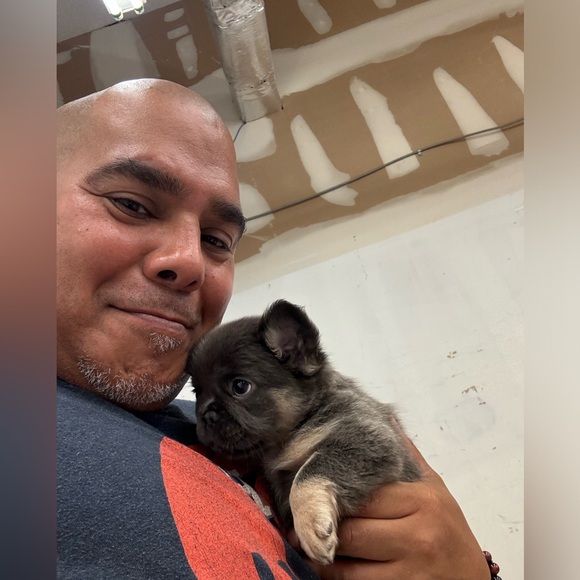 Meet your Posher, Joe - Picture 4 of 9